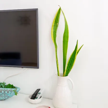 Apartment Beachfront T2 Costa Nova Surf Aveiro