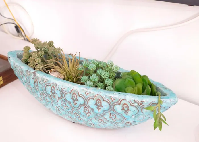 Beachfront T2 Costa Nova Surf Aveiro